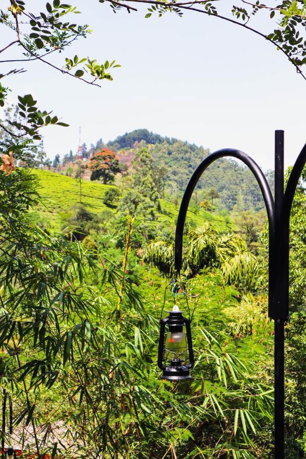 Nature Walk エッラ エクステリア 写真